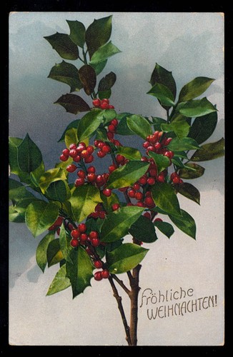 Weihnachten beerenzweig - ak, weihnachten: