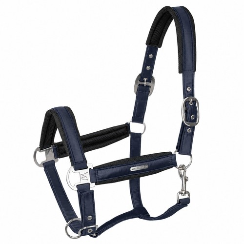 Halfter pferd gepolstert - halfter,