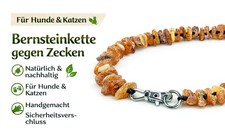 Bernsteinkette Hund Katze