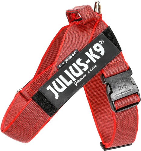Julius idc color - color, &