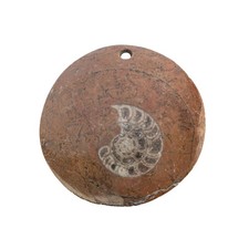 Ammonit Anhänger 3-4 cm –