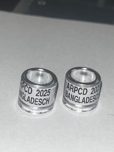Bangladesch 2025 brieftauben - 2025,