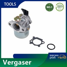Vergaser für Briggs &