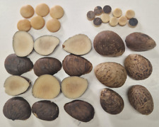 Steinnüsse / Corozo / "