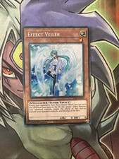 RA01-DE003 Effektschleier