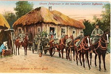 24644 AK Feldgrauen in