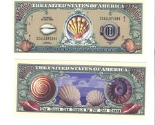 Dollar  SEA  SHELLS