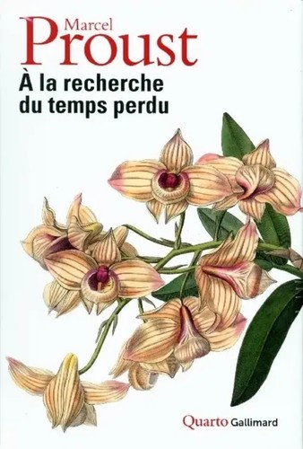 Recherche temps perdu - recherche,