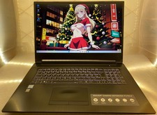 MEDION ERAZER® Gaming 17,3"