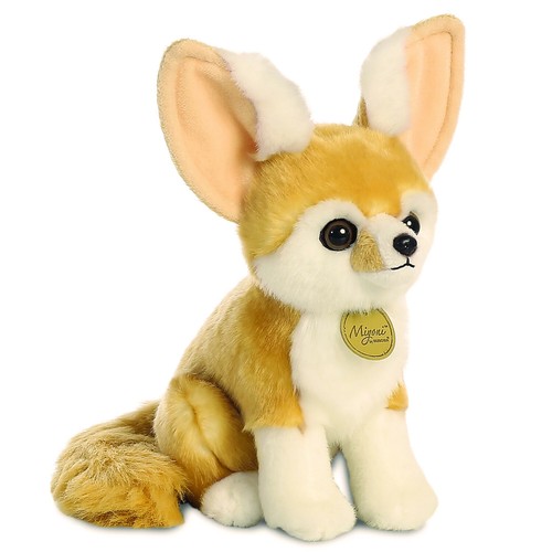 Aurora miyoni wüstenfuchs - aurora,