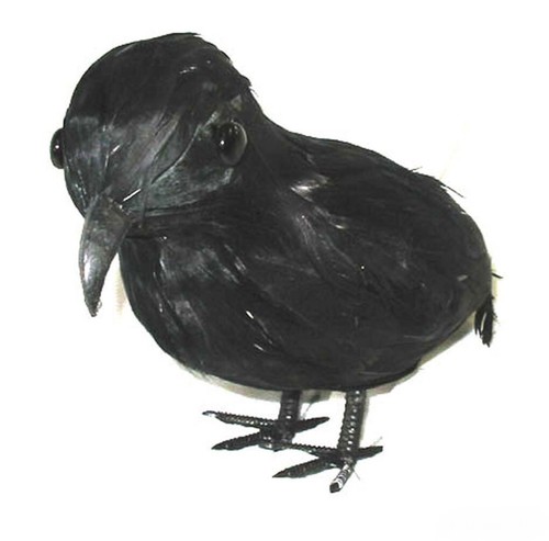 Rabe schwarz groß - , halloween