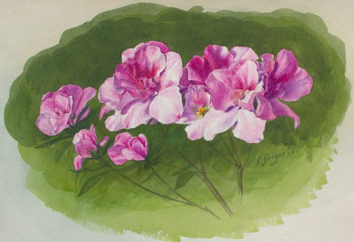 Fritz berger blumenstudie - berger,