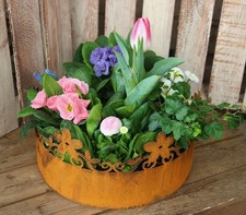 Deko Schale zum Bepflanzen