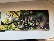 50 Birkel Sammelbilder Thema