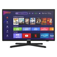 SELFSAT SMART LED TV 1222 (55 cm/22") inkl. DVB-S2/C/T2 HD Tuner mit WLAN