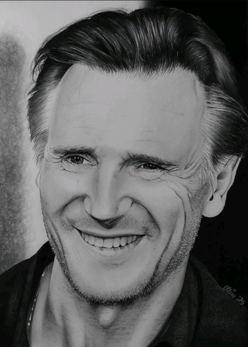Liam neeson portrait - neeson,