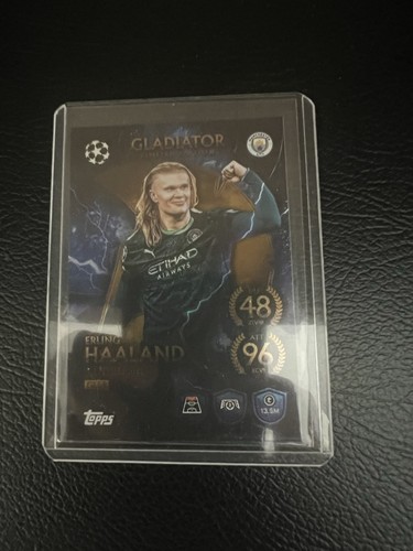 Erling haaland gladiator - erling, ltd