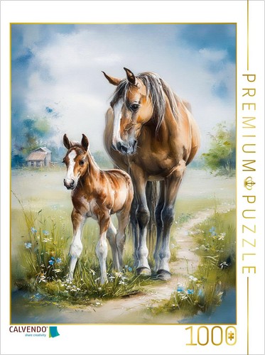 Calvendo puzzle die - calvendo,