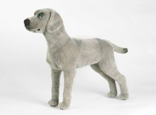 Kösen Weimaraner Hund 47 cm