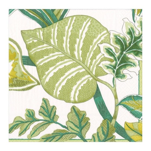 Florida elfenbein pierre - elfenbein,