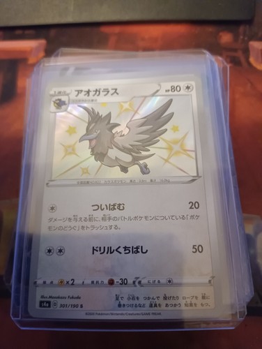Corvisquire shiny - corvisquire,