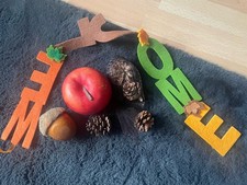 +++ APFEL++ DEKO ++ HERBST ++ Dekorieren ++ Groß  ++ Set  ++ Tannenzapfen