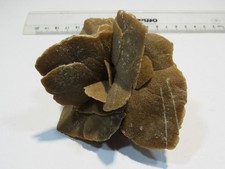 S282 Gips Selenit Sandrose sehr schöne Schwimmer Stufe 10cm Sahara Marokko, rar