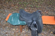 Pferdesattel gebraucht Wintec  Isabell Werth
