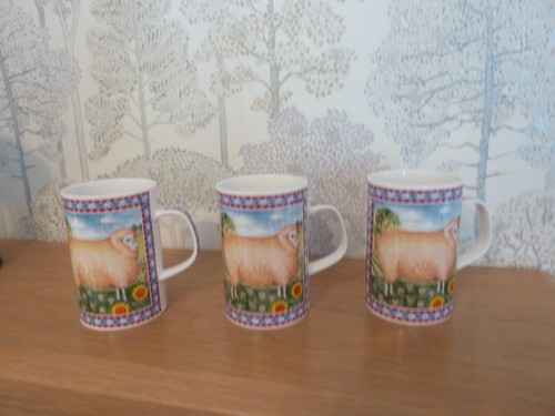 Dunoon barnyard fine bone - 3,