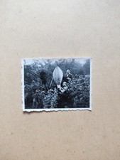 🔵 Alte Fotografie Foto