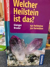 Michael Gienger :Welcher