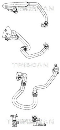 TRISCAN