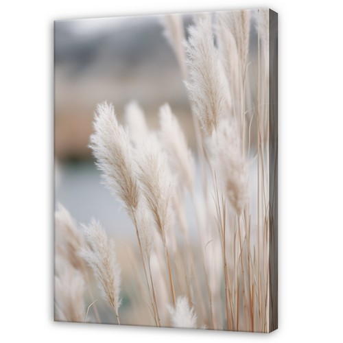 Leinwand gras weiß - gras, natur