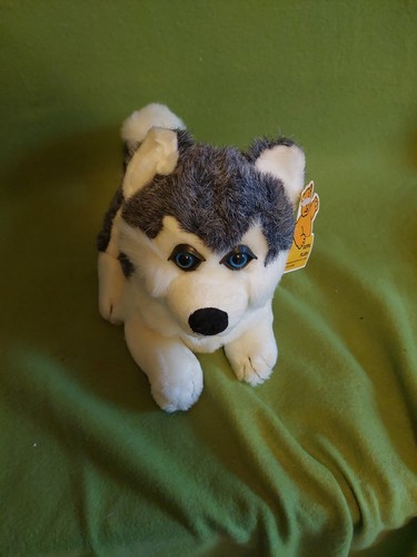 Stofftier husky - stofftier,