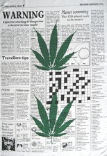 Cannabis marijuana ganja - marijuana, gras