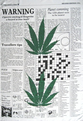 Cannabis marijuana ganja gras - marijuana,