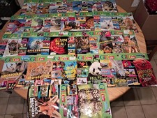 Geo Lino 27 Hefte Kinder