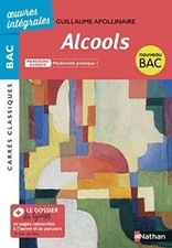 Alcools - BAC 2020 Parcours