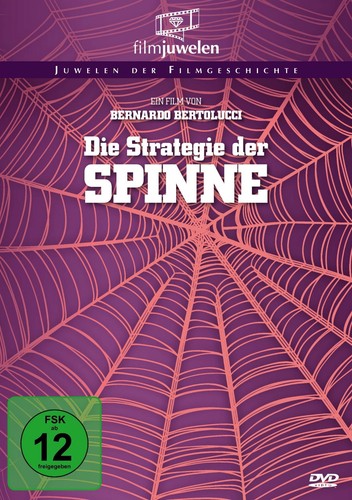 Die strategie der spinne - spinne,