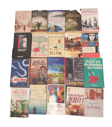 20x romane bücher - 20x,