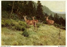 Künstler Ak Buddenberg, Am frühen Morgen, Hirsche - 4370036