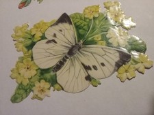 alte Oblaten Glanzbilder Konvolut schön Schmetterlinge