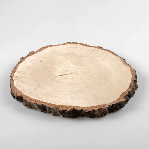Holz birkenscheibe dekoholz - holz-birkenscheibe,