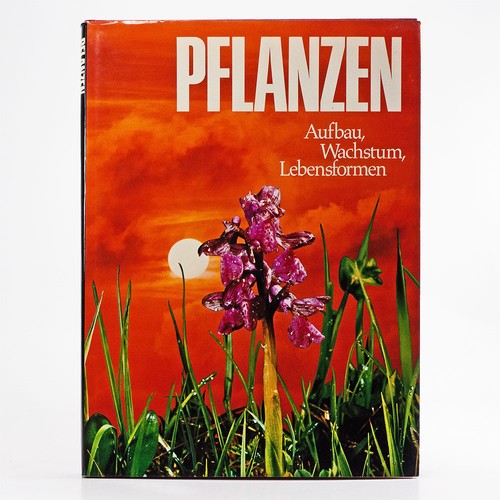 Pflanzen aufbau wachstum - -, aufbau,