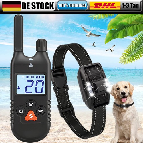 Elektroschock pet dog training - elektroschock,