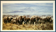 Fotokarte Afrikanische