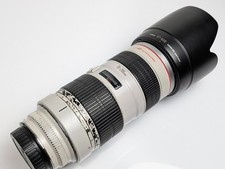 Canon EF 70-200mm F/2.8 L USM