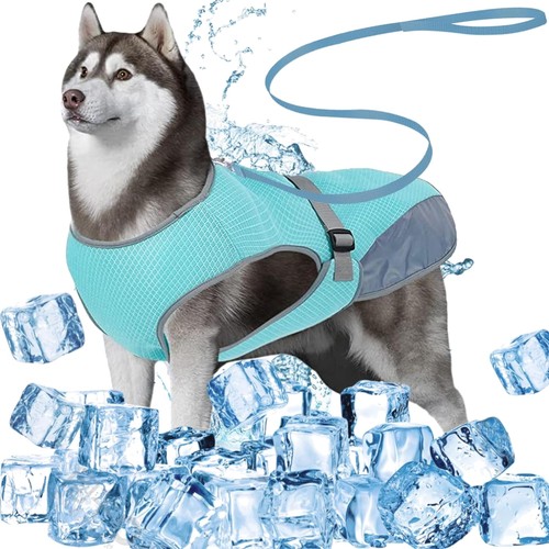 Hundekühlweste