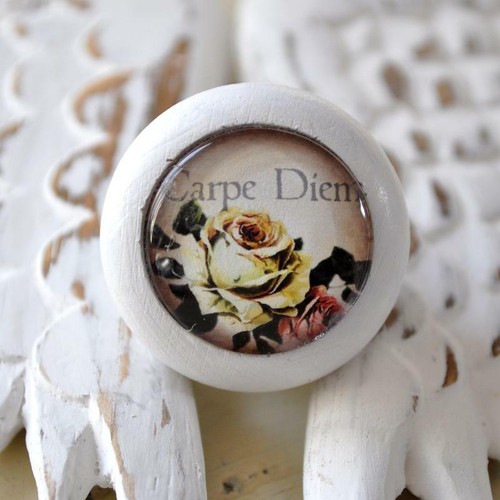 Shabby chic möbelknauf carpe - möbelknauf,