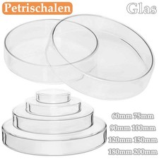 Glas Petrischale Schale + Deckel Hoher Borosilikat Petrischalen 60mm 75mm~200mm